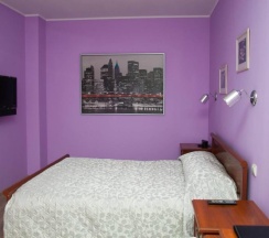 Номер люкс комфорт с 1 двуспальной кроватью в Урал