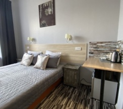 Улучшенная гостевая комната вид на город в На Невском