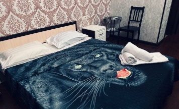 Номер стандарт (без окна) в Элит