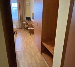 Классический в Дельфин