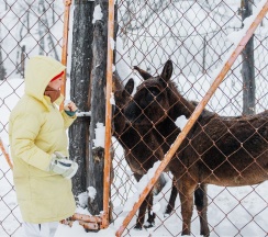 Барский Коттедж в Басаргино