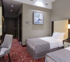 Двухместный номер Standard 2 отдельные кровати в Senator Hotel