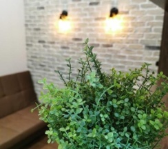 Loft Машук в Loft 5вершин