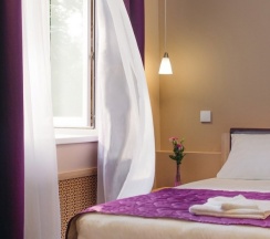 Стандартный двухместный  номер с электрокамином в Ring Road Hotel