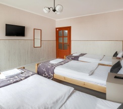 Трёхместный номер Economy в Янка