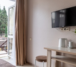 Стандарт с 1 кроватью в Дана