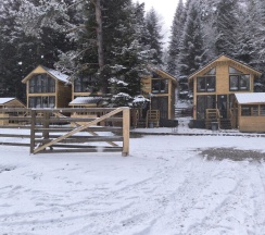 Стандарт в Greenhouse 1599