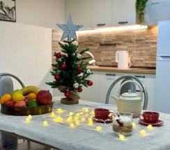 Апартаменты №5 "Джуниор" на мансардном этаже в Саквояж