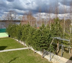 Шестиместные апартаменты Дуплекс с балконом в Завирье