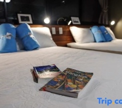 Семейный номер Standard в In A Box Hostel