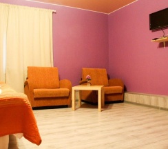 2-местный номер стандарт в Микли-Ольгино