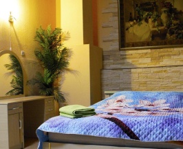 Номер делюкс с 1 двуспальной кроватью в Носовихинский