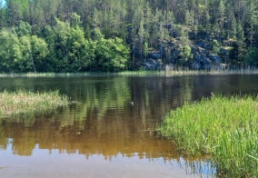 Глэмпинг Тихий Каньон на Ладожском озере