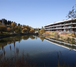 Однокомнатный номер с двумя отдельными кроватями в СберУниверситет