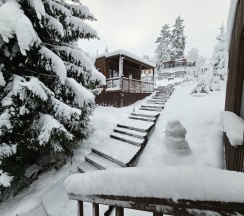 FOREST HOUSE Локация КП "ЧЕРНИЧНОЕ" в Черничный склон