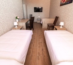 Стандарт трехместный в Петровская