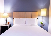 Двухместный люкс двуспальная кровать в Sonesta Simply Suites Austin The Domain Area