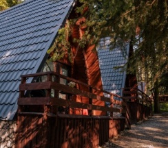 Дом 1 в Ёлки house