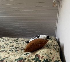 2-комнатные апартаменты Лаванда в Лес и Луга