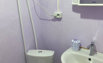 Трехместный номер с двуспальной и односпальной кроватью в Алтайские Дачи