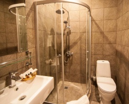 1-местный номер эконом (с завтраком, мансарда) в GogolHotel