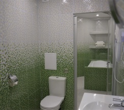 Двухместный Люкс № 12 (отдельный корпус) в Марциальные воды