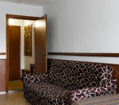 Стандарт с диваном в Ольшаники