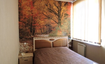 Одноместный номер в Надежда