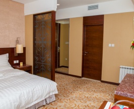 Номер Superior в SoLuxe Hotel Almaty