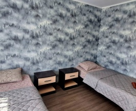 Двухместный номер Standard 2 отдельные кровати в KHOLIN-HOTEL