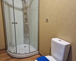 Номер стандарт с 1 двуспальной кроватью #13 в Trava