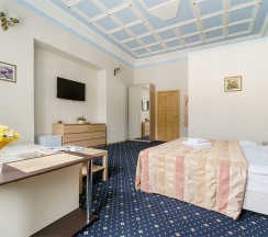 Комфорт в Александр Hotel
