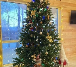 Четырёхместный коттедж Standard в Сибирский Бор