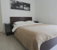 Стандарт Одноместный в Гагарин