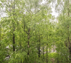 Квартира в Апартаменты на Генерала Антонова, д. 5, к.1