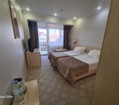 Номер первой категории (стандартный) двухместный номер с балконом  в Green house