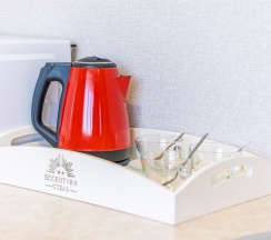 Стандарт одноместный в Ессентуки