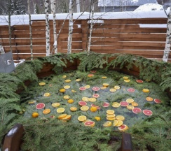 Sfera | Баня и банный чан на территории в Берёзовая роща