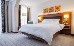 Номер стандарт с 1 двуспальной кроватью в Hilton Garden Inn Krasnodar