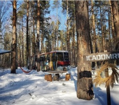 ICADOMRUS в ГНЕЗДО
