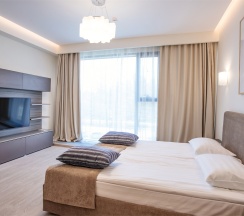 Апартаменты Сюит 1 с террасой в X-Clinic