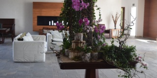 Пафос: Отель Amphora Hotel & Suites