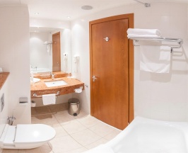 Номер стандарт с 1 двуспальной кроватью king-size в HolidayHall
