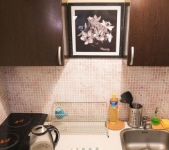 1-комнатные апартаменты студия в RentWill на шоссе Пятницкое