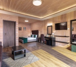 Номер Полулюкс с видом на территорию в Жемчужина