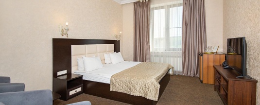 Номер улучшенный №206 в Hotel central