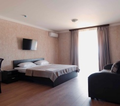 2-местный 1-комнатный номер люкс улучшенный в Ника