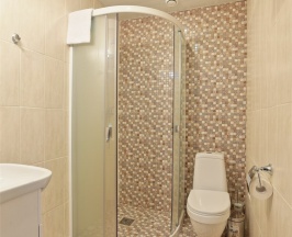 Эконом двухместный в Fortis Hotel