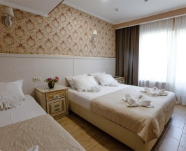 Номер стандарт с 1 односпальной и 1 двуспальной кроватью в Grand villa