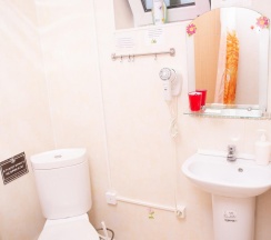 2-местный номер стандарт в Микли-Ольгино